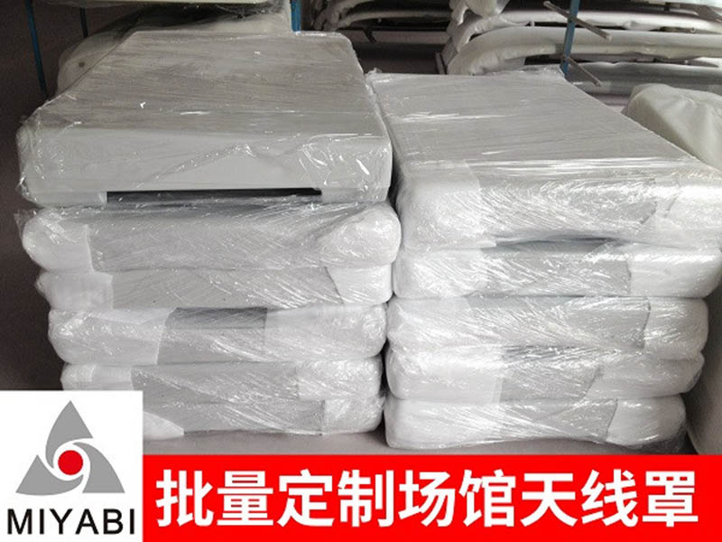 場館天線罩